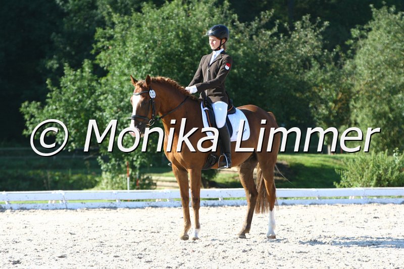 109M6443_Der kleine Prinz_Dressur L_Mannschaft.JPG